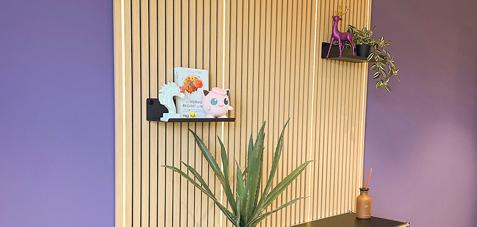 Akustikpaneele Zubehör – Regale und LED-Beleuchtung - Eine montierte Akustikpaneel-Wand mit 4 LED-Streifen die leuchten und zwei Regalen mit Figuren und Pflanzen - davor ein Sideboard mit einer Pflande darauf.