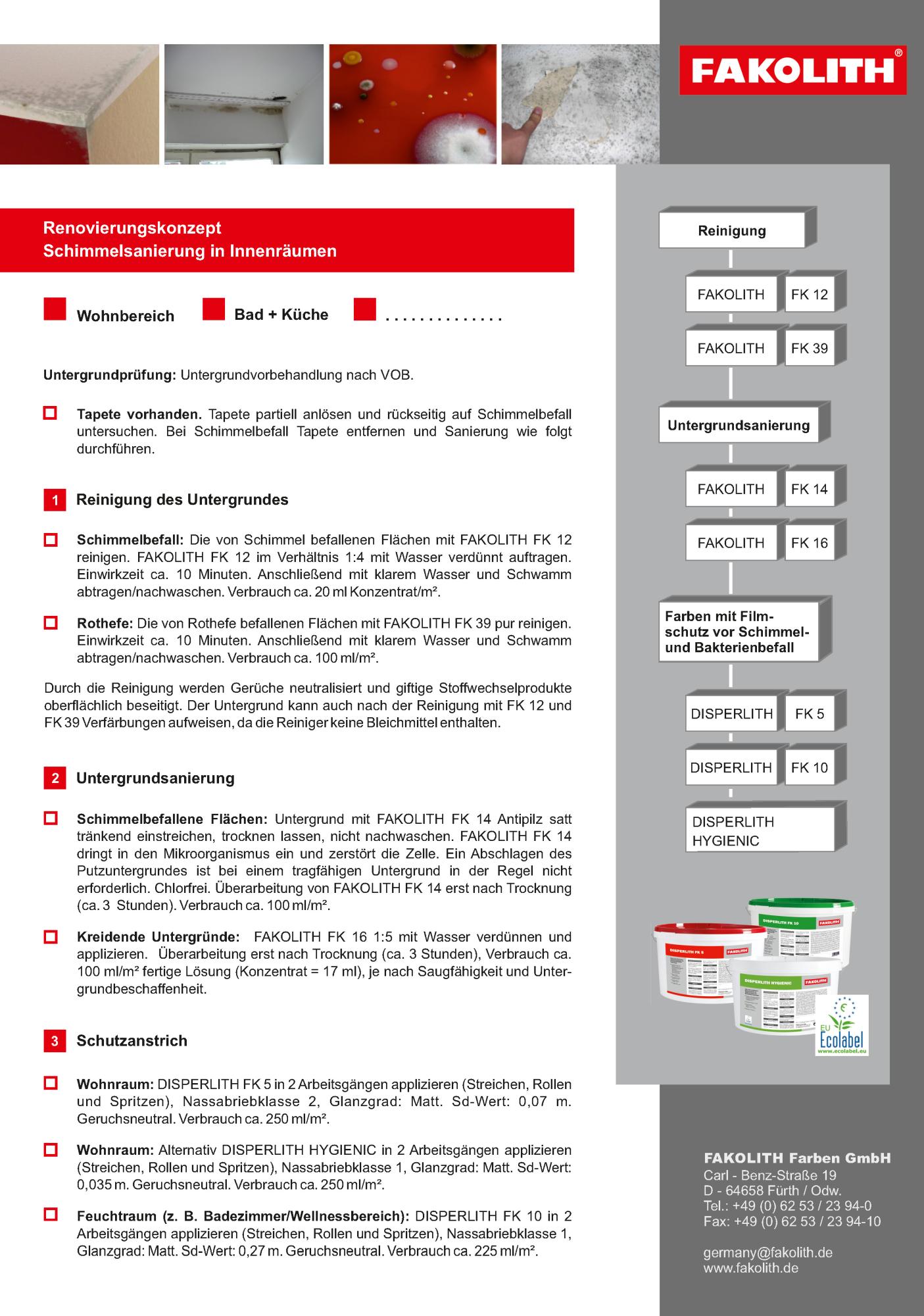Formular Renovierungskonzept Schimmelsanierung in Innenräumen