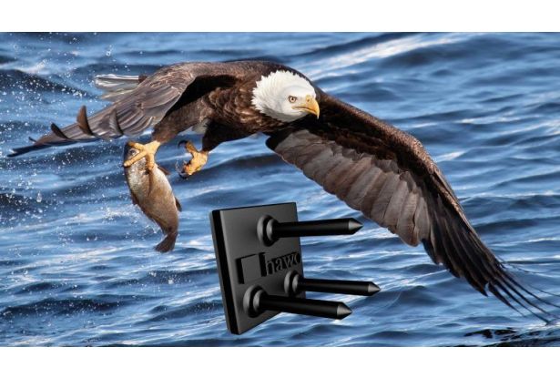Seeadler fliegt übers Wasser und hat Fisch in den Krallen fest im Griff, Muster hawo Dämmstoffkralle Quick im Vordergrund