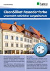 Vorschau des Flyers CleanSilikat