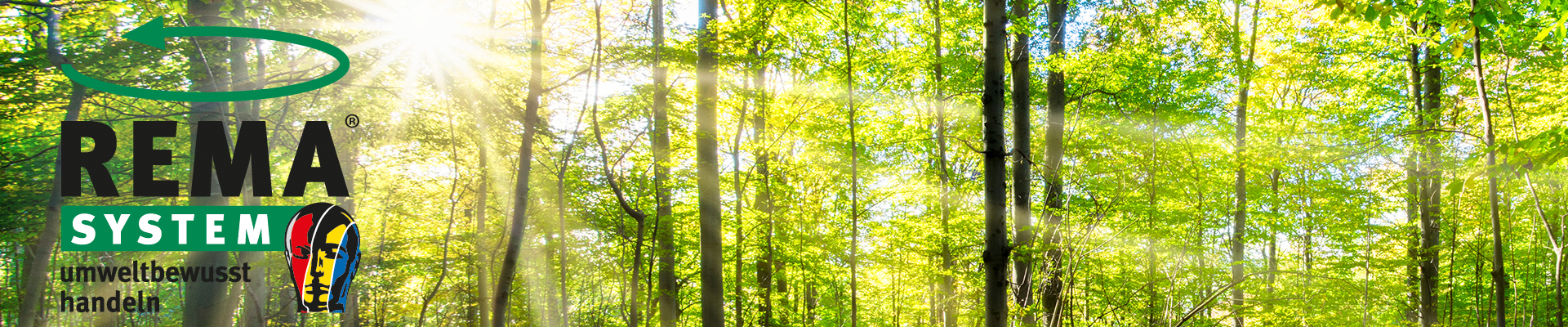 Wald mit Sonnenstrahlen - REMA System Logo